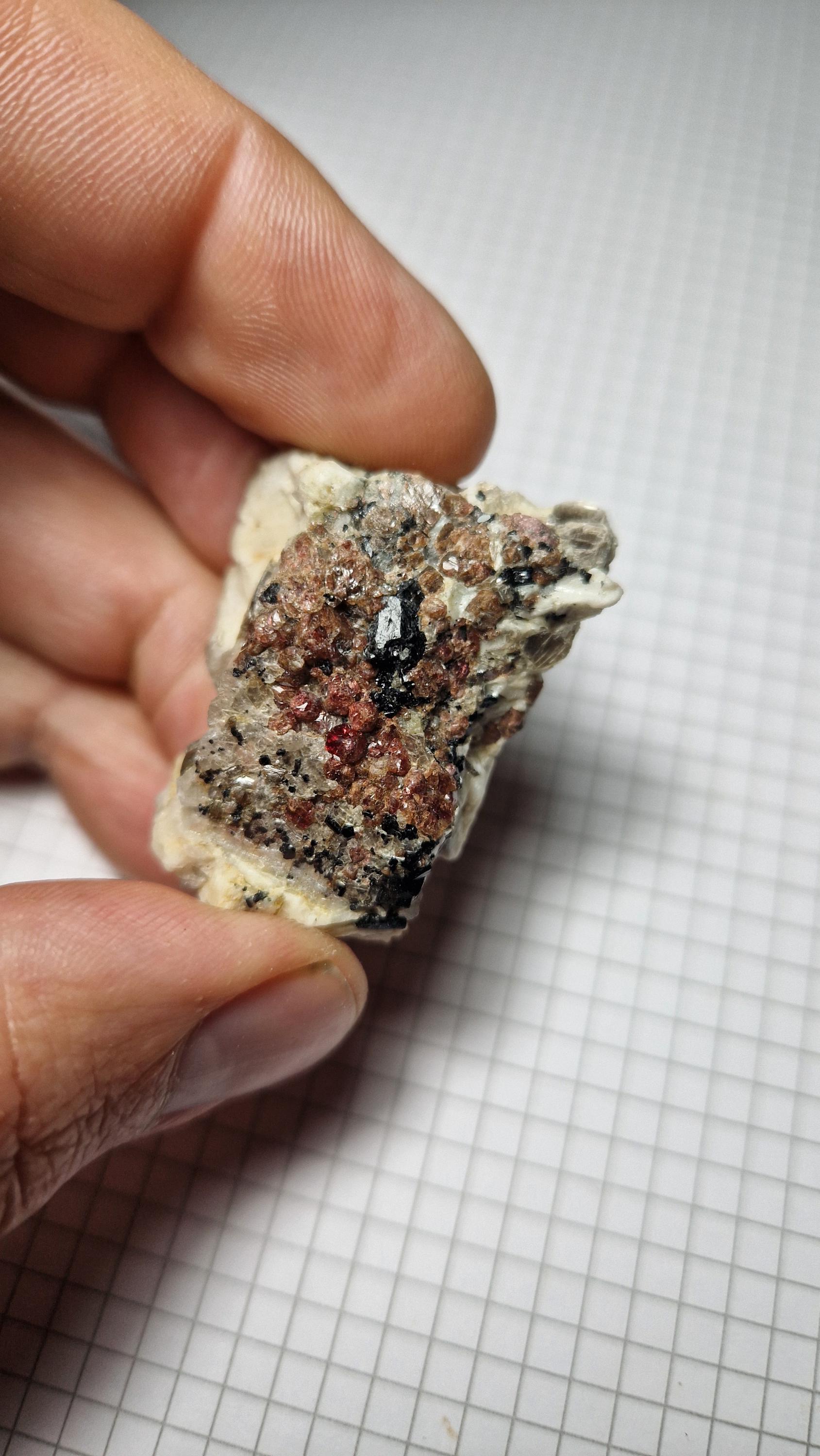Black tourmaline crystals red garnet mica crystals Italian location Piona 3.5 x 2.5 cm cod 139