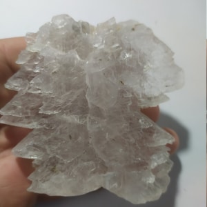 Selenite gesso cristallo  ali D&#39;Angelo naturale Mexico chakra cristalloterapia minerali collezione naturale cristalli