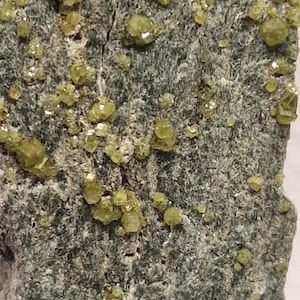 Könnte beinhalten: Nahaufnahme eines Gesteins mit kleinen, grünen, kubischen Kristallen, die darin eingebettet sind. Das Gestein hat eine raue, graue Oberfläche.