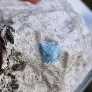Könnte beinhalten: Ein kleiner, hellblauer Aquamarin-Kristall, eingebettet in einen weißen Stein. Der Kristall ist facettiert und hat eine scharfe, geometrische Form.