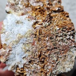 May include: A close-up of a brown and white mineral specimen with a rough, textured surface. The mineral has a layered appearance with small, sparkly crystals.