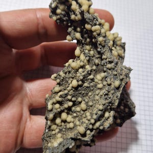 Peut inclure: Une roche gris foncé rugueuse avec un groupe de petites formations rondes de couleur crème.