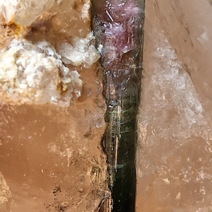 Può includere: Primo piano di un cristallo di quarzo grezzo con un'inclusione di tormalina verde e rosa vibrante. La tormalina è un cristallo lungo e sottile con una sfumatura di colori. Il quarzo è di colore bianco sporco traslucido.