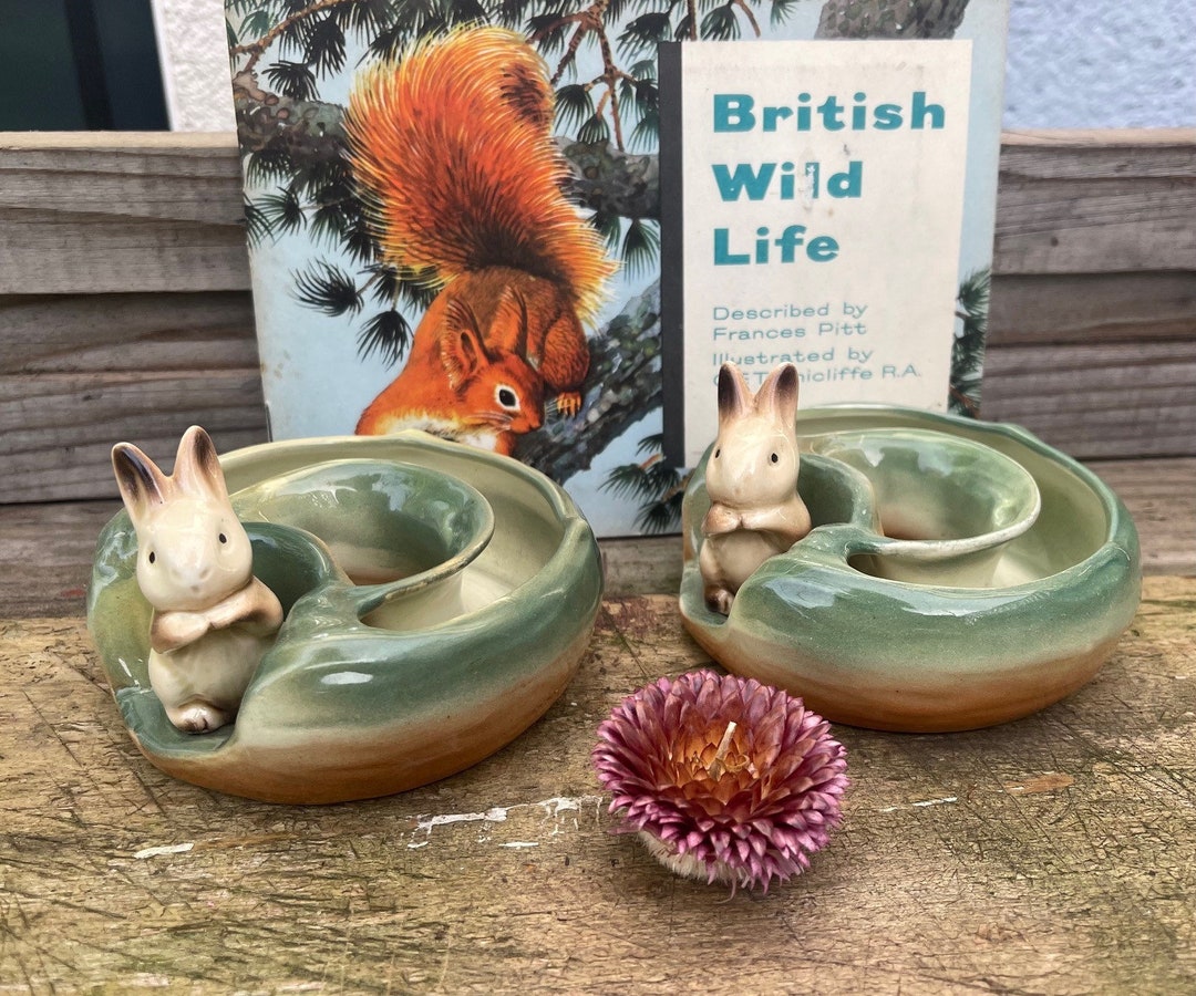 Pair of Rare Vintage 1950s Hornsea Fauna Rabbit/ Bunny Horseshoe Posy ...
