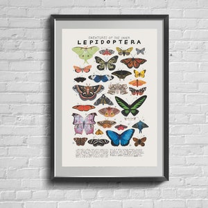 Vintage Butterfly Wall Art. Boho Butterflies Poster. Girl&#39;s Room Decor. Retro Wall Art Poster.