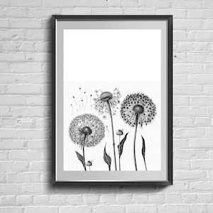 Dandelion Black And White Poster. Dandelions Minimalist Print. Flowers Wall Art.