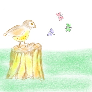 Oiseau sur Treesump Notecard