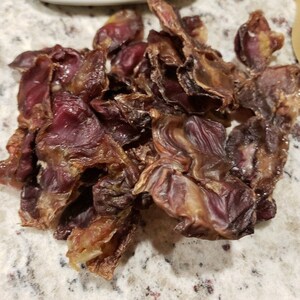 Dehydrated Chicken Gizzard / All Natural / Healthy Dog Treats / Raw Feeding / No Preservatives
