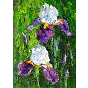 Può includere: Un dipinto a olio raffigurante due fiori di iris con petali superiori bianchi e petali inferiori viola intenso, accentuati da tocchi di giallo. L'opera utilizza pennellate spesse e materiche su uno sfondo verde di fogliame.