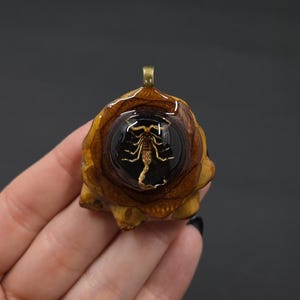 May include: A pendant featuring a scorpion encased in clear resin, set within a natural, textured, brown and yellow pinecone base. The pendant has a gold-colored bail for hanging.
