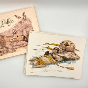 May include: A set of New American Wildlife Ecology Cards featuring a box with a brown moose and calf illustration, and a stack of cards showing two brown sea otters floating in blue water with yellow kelp, all rendered in a detailed artistic style.