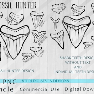 Dent de requin PNG SVG, conception de dents de requin chasseur de fossiles, cadeau pour papa, cadeau pour maman, paléontologie, dent de mégalodon, dents de requin