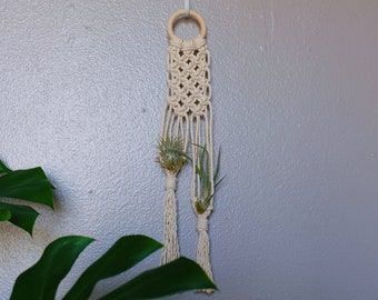 ARYA Air Plant Macramé Plant Hanger | 100% Natural Cotton Cord | Boho Tillandsia Hanger