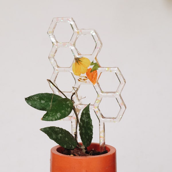 BRIONY Honeycomb Plant Trellis (Orange/Yellow) | Dried Flower Resin | Geometric Trellis for Trailing Houseplants