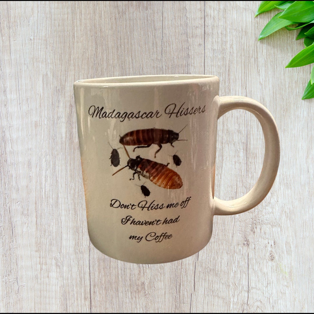 Madagascar Hissing Cockroaches Coffee Mug Etsy