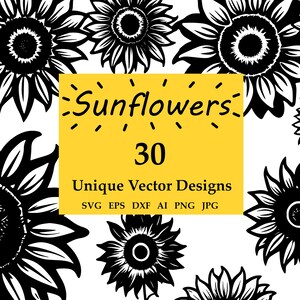 30 ilustraciones vectoriales de girasoles