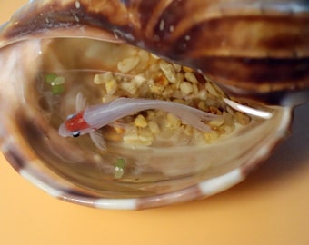 Pintura de caracol koi, pintura de resina 3D de caracol de colores, arte de pintura, arte de colección, decoración de arte, regalo de pintura único
