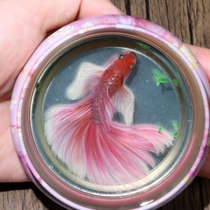 Epoxy layers painting red betta in an iron box, resin Painting ,3D resin painting, Painting Art, Art Decoration, painting gift, goldfish art