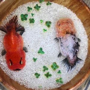 3D resin painting goldfish, 3D painting fish tank, 3D Resin Painting fish, goldfish art, Collection Art, Art Decoration, resin craft