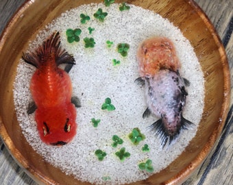 3D resin painting goldfish, 3D painting fish tank, 3D Resin Painting fish, goldfish art, Collection Art, Art Decoration, resin craft