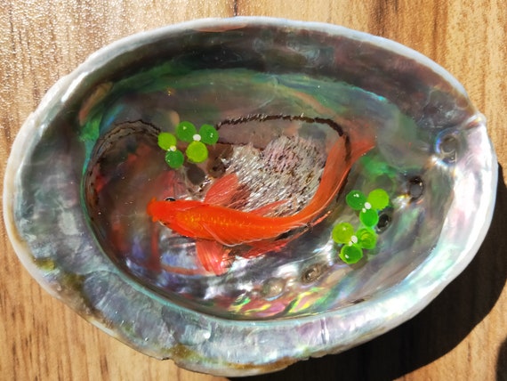 Abalone Shell Painting Koi Coloured Shell 3d Resin Painting Etsy 日本