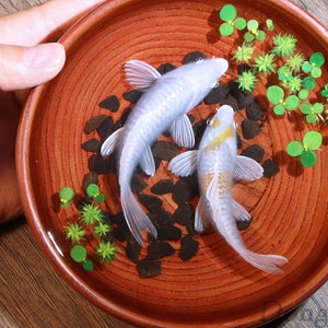 3D Expoy Resin Painting koi, Aquarium painting, goldfish painting,  Expoy Resin Art, Art Decoration, painting gift, Betta art, fish tank