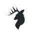TheWildBuck store logo