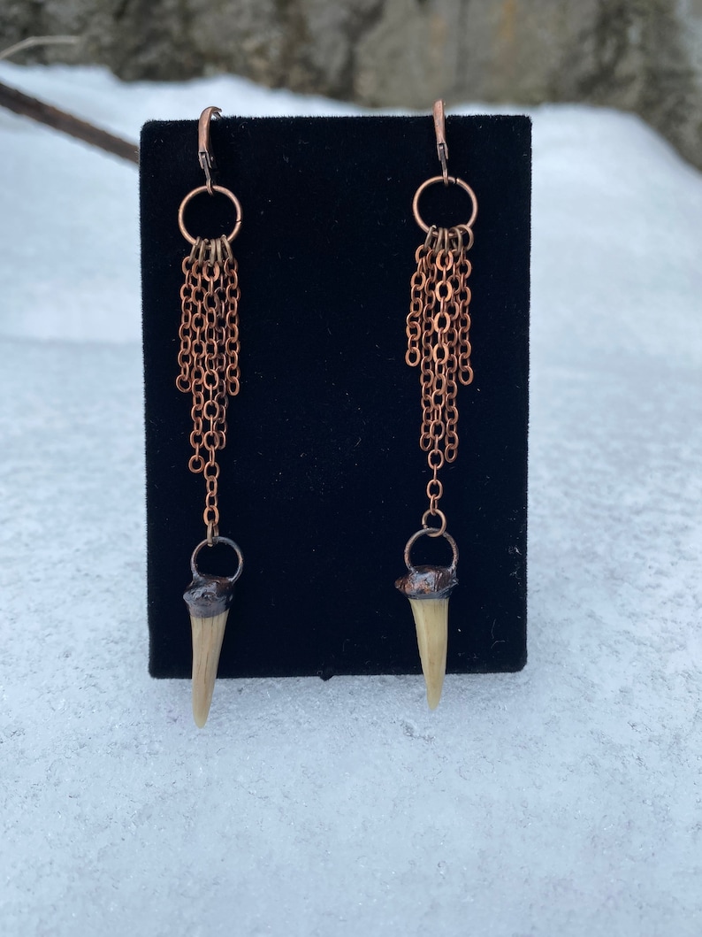 Shark Tooth and Chain Dangles