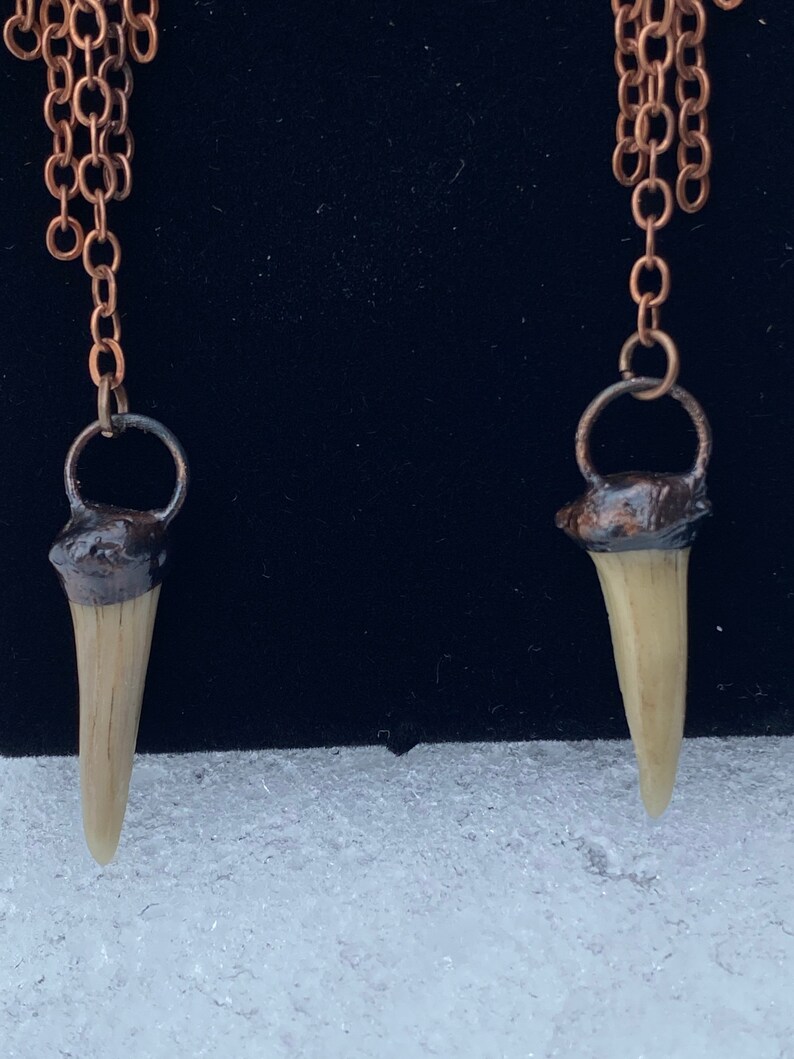 Shark Tooth and Chain Dangles
