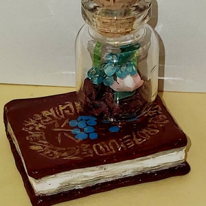 Mary and the Witch&#39;s flower: Book of Spells