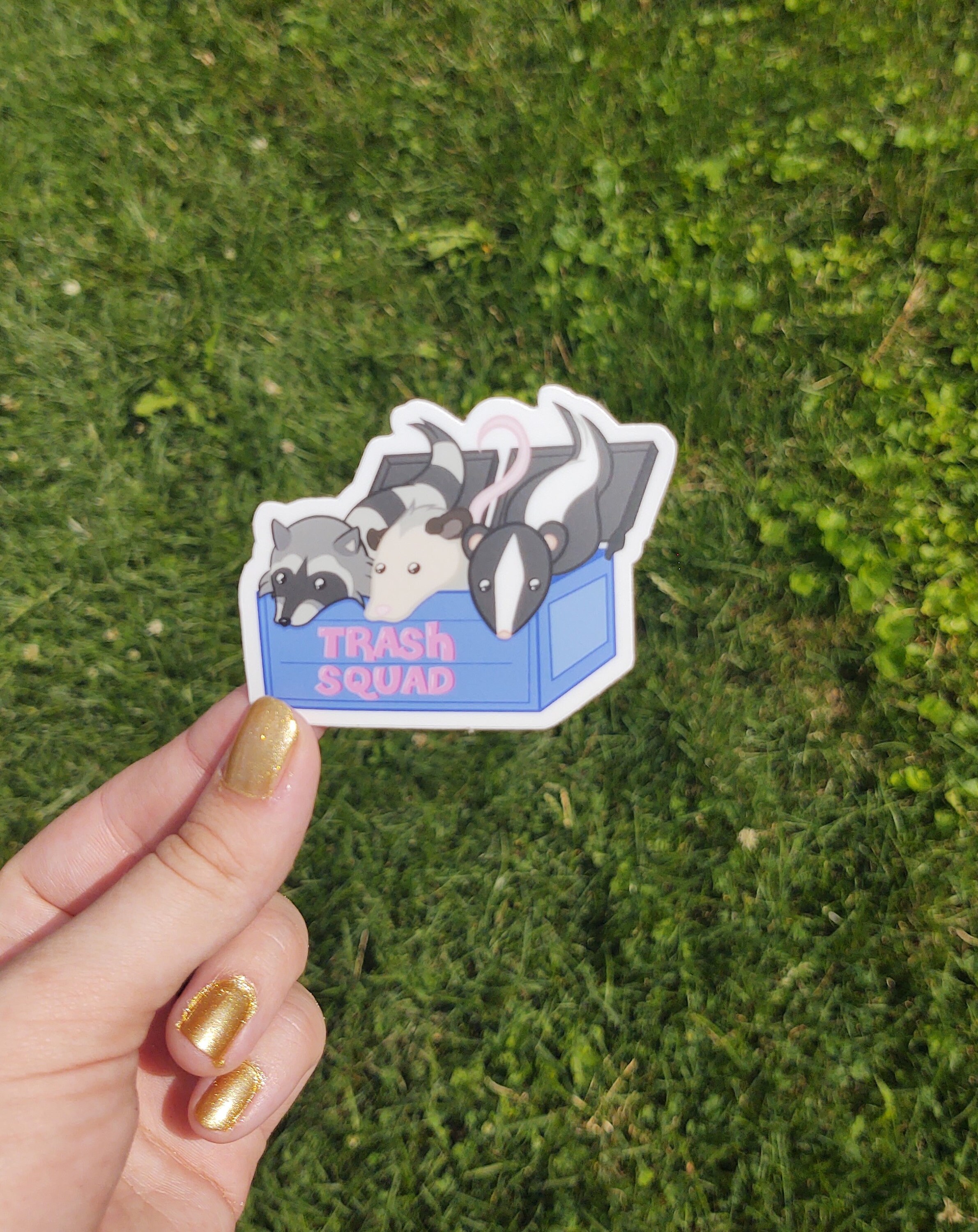 Trash Squad 3x2 Sticker Cute Funny Animal - Etsy