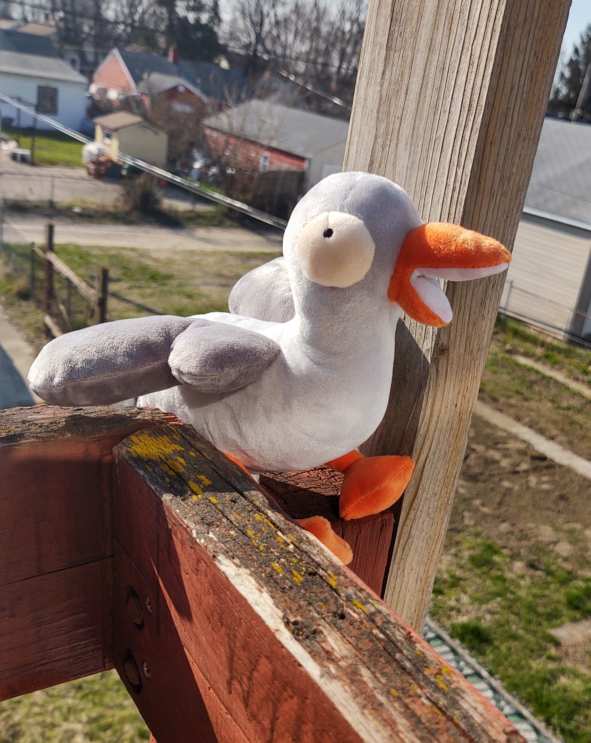 Seagull Plush With Removable French Fry Cute Plushie Gift for Bird