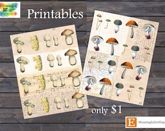 Vintage Mushroom Junk Journal Ephemera