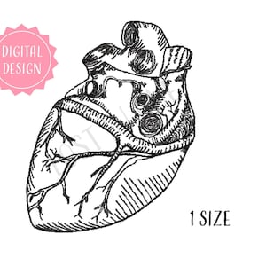 Heart Machine Embroidery Design File - 4x4 inch hoop - Embroidery Pattern - Anatomical Heart Design - Human Body Sketch - Human Heart Design