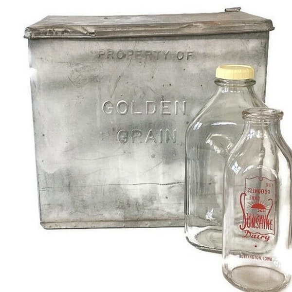 Vintage Insulated Dairy Bottle Storage Box * Galvanized Porch Milk Delivery Bin