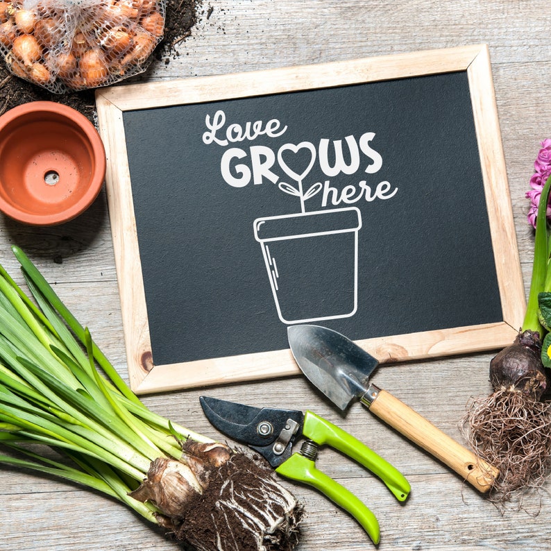 Download Love Grows Here SVG for Cricut or Silhouette Cuttable ...