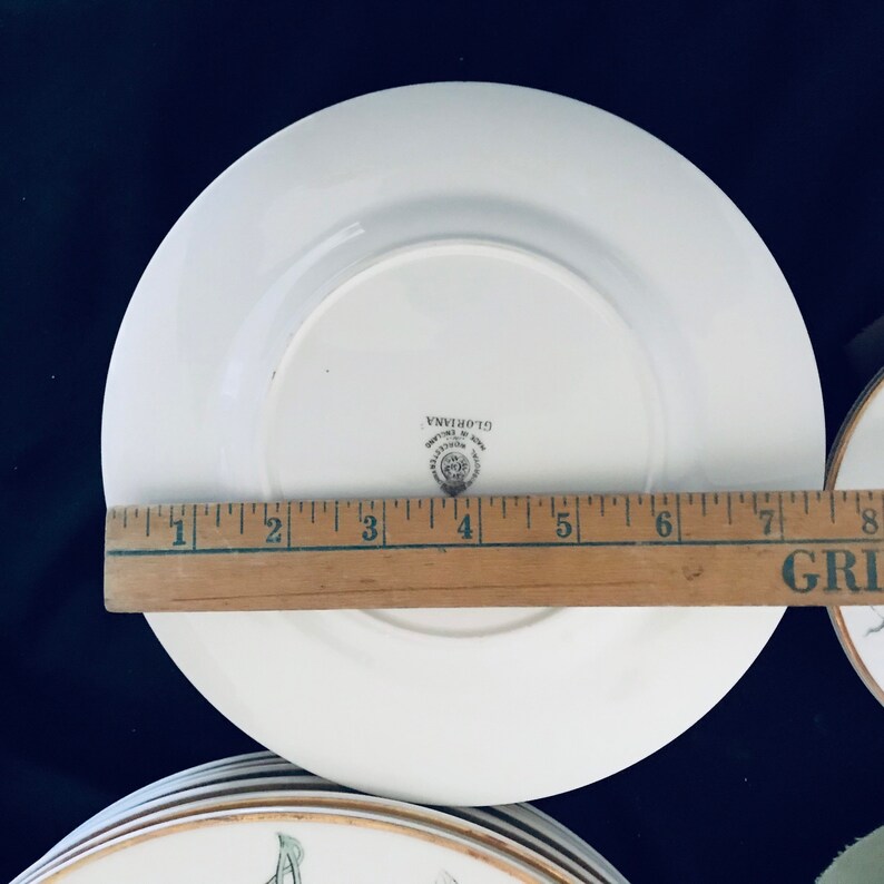 8 Dinner Plates, 8 Salad Plates and 8 Saucer of ROYAL WORCESTER