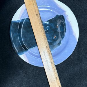 Puede incluir: Un plato redondo de cer&aacute;mica con un retrato de perro negro sobre un fondo azul claro. Una regla de madera, marcada en pulgadas, se coloca en diagonal. El di&aacute;metro del plato es de aproximadamente 23 cm.
