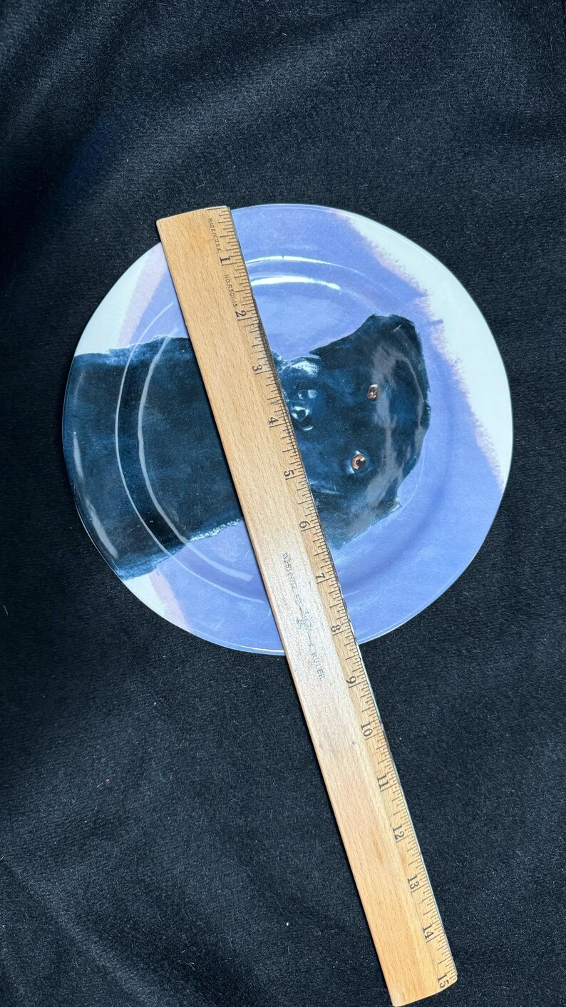 Puede incluir: Un plato redondo de cer&aacute;mica con un retrato de perro negro sobre un fondo azul claro. Una regla de madera, marcada en pulgadas, se coloca en diagonal. El di&aacute;metro del plato es de aproximadamente 23 cm.