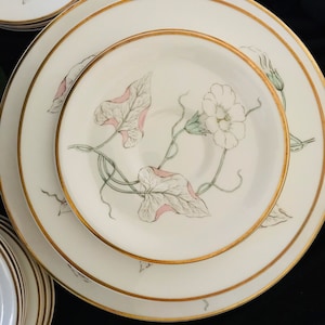 8 dinner plates, 8 salad plates and 8 saucer of  ROYAL WORCESTER Gloriana floral pattern with gold trim, please select the options