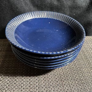 1999-2001年 青色皿 セット Amazon | （在庫限り）九谷焼 青風窯 4号皿揃 （5枚セット