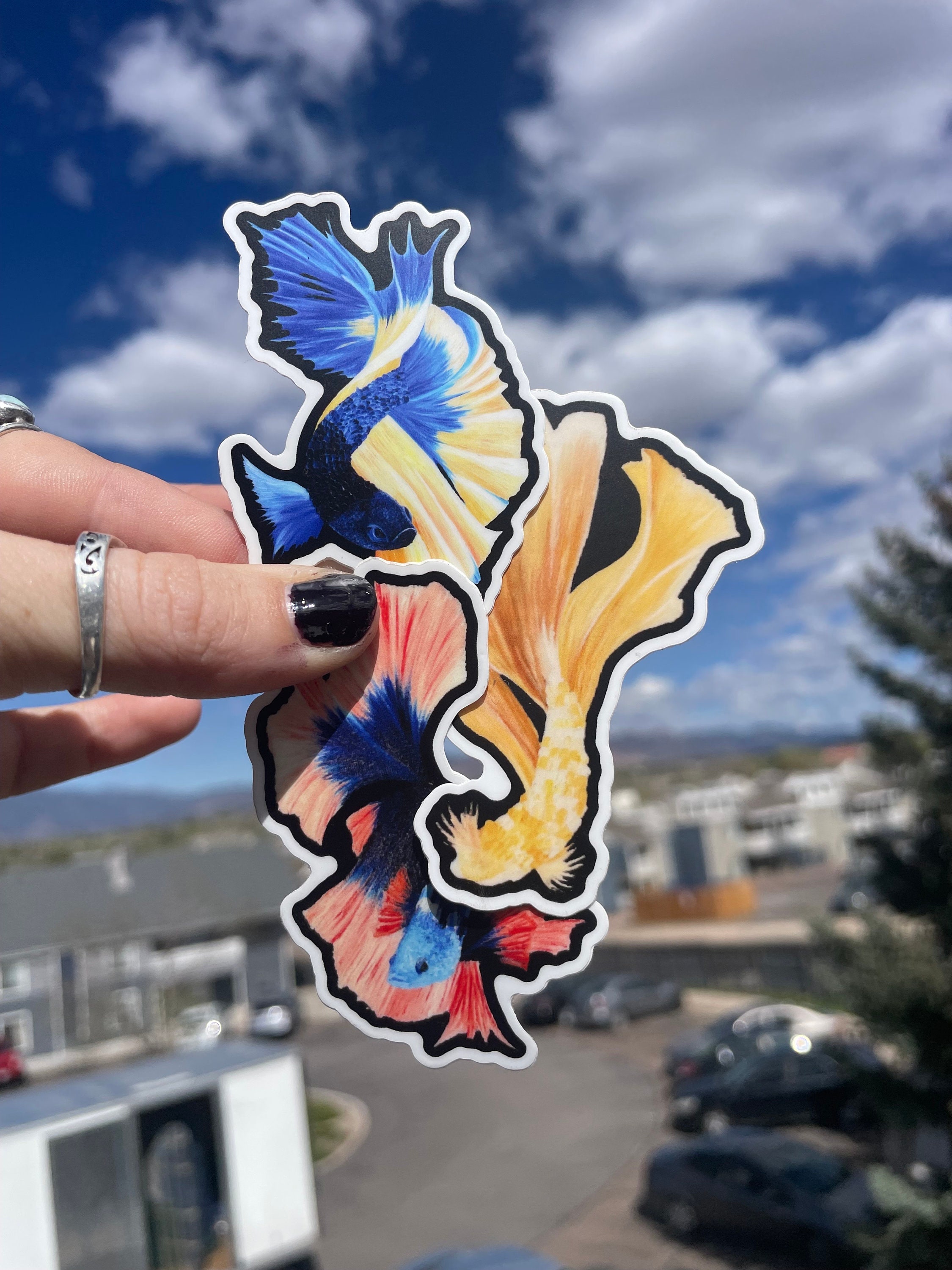 Betta Fish Sticker Bundle - Etsy