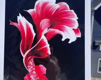 Flower Betta Print