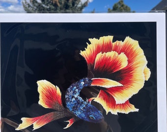 Fire Betta Print