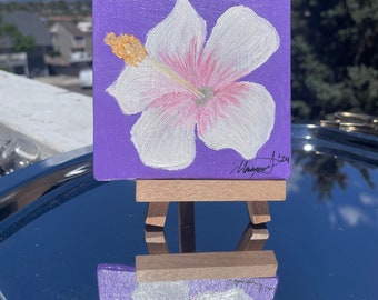Mini hibiscus white