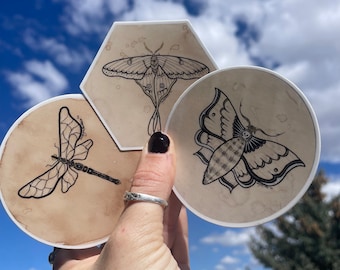 Bug vinyl sticker bundle