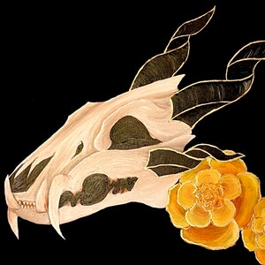 Dragon skull
