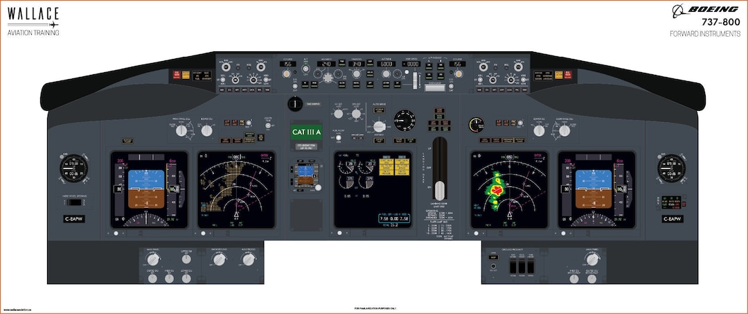 Boeing 737-800 Cockpit Familiarization Poster - Digital Full Scale