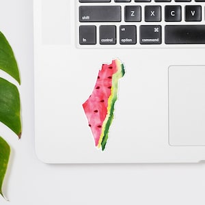 Puede incluir: Un ordenador portátil blanco con una pegatina en forma de sandía del contorno de Israel en el trackpad. El portátil está sobre una superficie blanca con una planta verde a la derecha y una planta verde de hojas a la izquierda.
