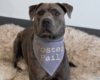 foster dog products